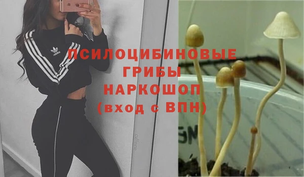 прущие крисы Гатчина