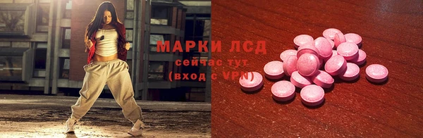 прущие грибы Алзамай